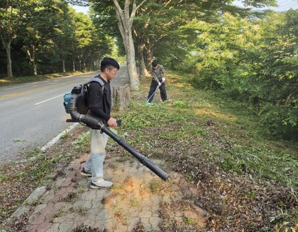 장성군 소식 — 장성군 삼계면 청년회, 장마철 앞두고 솔선수범 ‘봉...