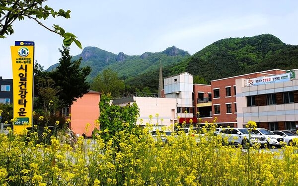 장성군 소식 — 장성군, 녹색자금 공모 선정… 북하면에 나눔숲 조성