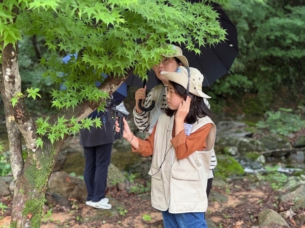 장성군 소식 — “사찰이 이렇게 재밌다고?” 장성 백양사 국가유산 ...